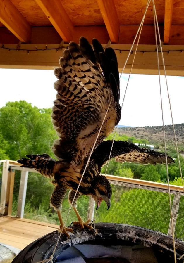 Hotel Cave, Yurt, Bubble And Other Glamping Adventures Sedona Exteriér fotografie